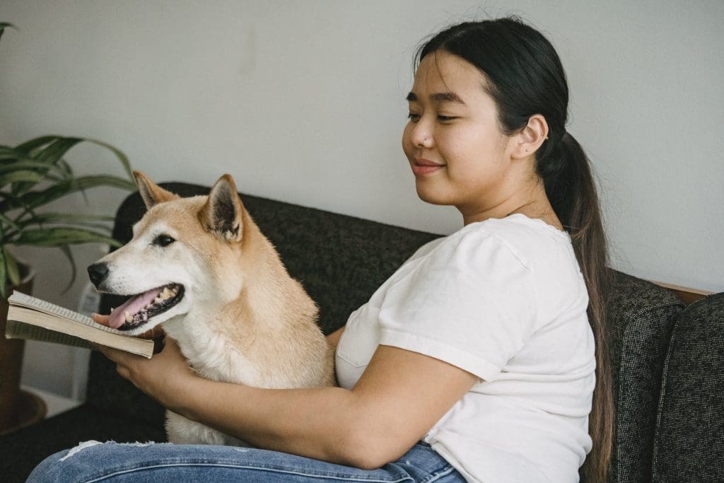 éducateur canin comment créer son entreprise