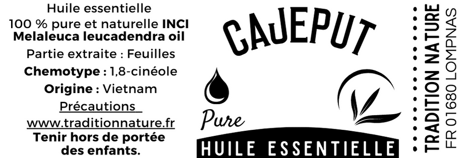découvrez les bienfaits du karnat, un super-aliment riche en nutriments et antioxydants. apprenez comment intégrer cette plante aux multiples vertus dans votre alimentation pour améliorer votre santé et votre bien-être au quotidien.