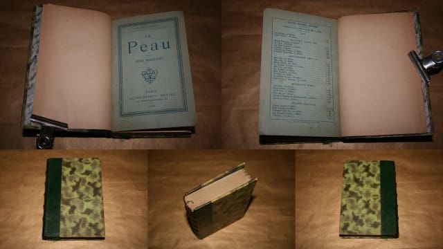 découvrez palmyre maury, une pionnière du développement durable, dont les engagements et les actions novatrices ont marqué l’histoire de l’écologie en france. parcourez son parcours inspirant et son impact durable.